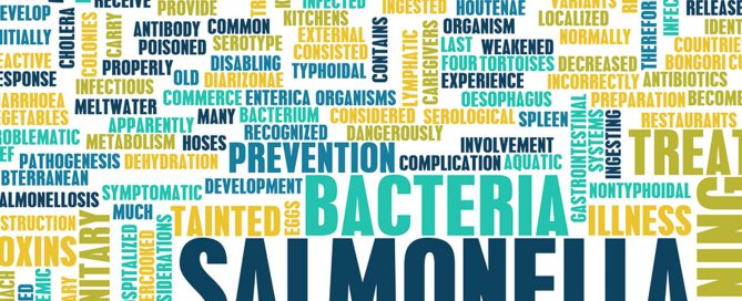 Home Care Services in Auburn  AL: Prevent Food Poisoning