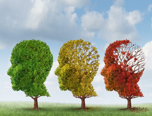 Four Tips for Senior Brain Health